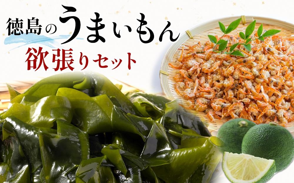 
                  徳島 特産 わかめ のり 海苔 すだち 干しエビ セット 干し海老 | 鳴門わかめ わかめ 生わかめ 海鮮 海産 詰め合わせ 詰合せ 小分け 保存食 味噌汁 みそ汁 酢の物 サラダ 簡単調理 手軽 人気 おすすめ 海の幸 徳島
                
