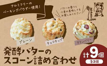 星子 スコーン 詰め合わせ 3種 9個