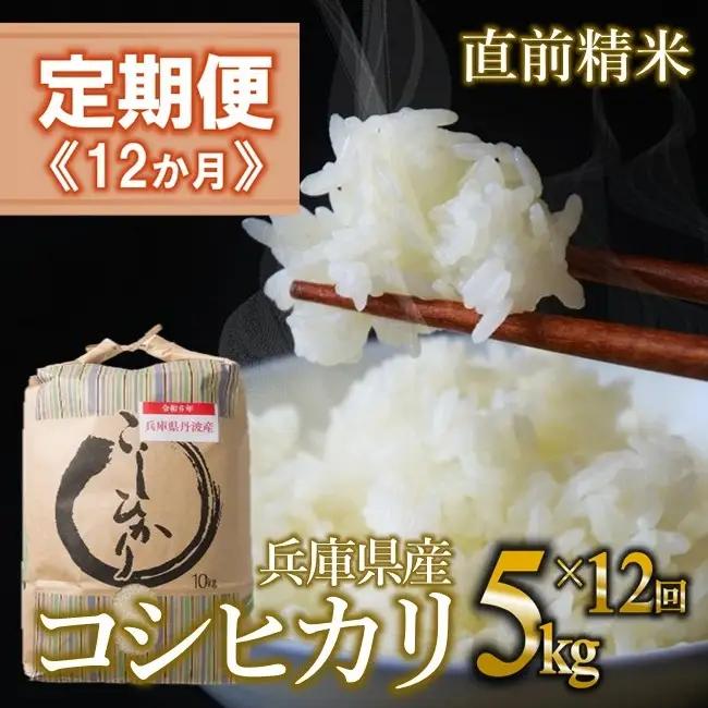 【定期便/12回】コシヒカリ 白米5kg ×12か月連続お届け