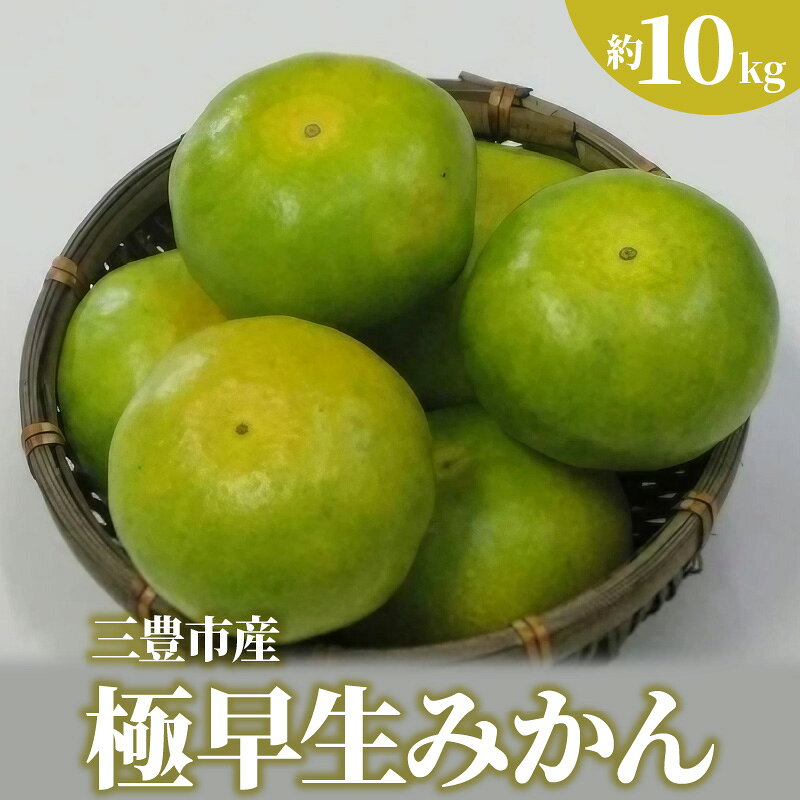 【ふるさと納税】みかん 三豊市産極早生みかん 約10kg （L～Sサイズ） [ 三豊市産 ミカン 蜜柑 極早生みかん 香川県産 四国産 柑橘 果物 フルーツ 甘酸っぱい 旬の果物 果汁たっぷり 新鮮フルーツ 香川県 三豊市 送料無料 10000 10,000円 台 産地直送 旬 五色青果 ]