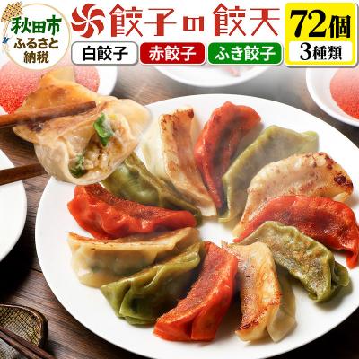 ふるさと納税 秋田市 【3種餃子72個詰合せ】餃子の餃天 白餃子、赤餃子、ふき餃子|15_ggt-017201