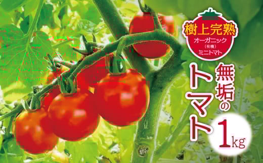 【先行受付】無垢のトマト（樹上完熟オーガニック(有機)ミニトマト）1kg |  長野県 松本市 信州産 とまと トマト 野菜 オーガニック 農園 やさい 栄養