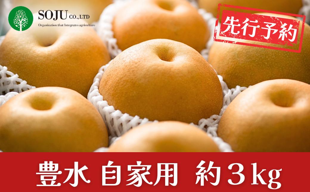 
                  先行予約 和梨 豊水 自家用 約3kg 令和8年度  新潟県産 三条市 梨 [三条果樹専門家集団]【010S963】
                