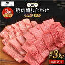 【ふるさと納税】【全3回定期便】【隔月発送】佐賀牛 焼肉セット 1.0kg（霜降り・赤身 各500g）【田中畜産牛肉店】 [HBH122]