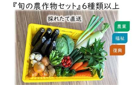 倉敷市真備町みんな農園 『旬の農作物セット』