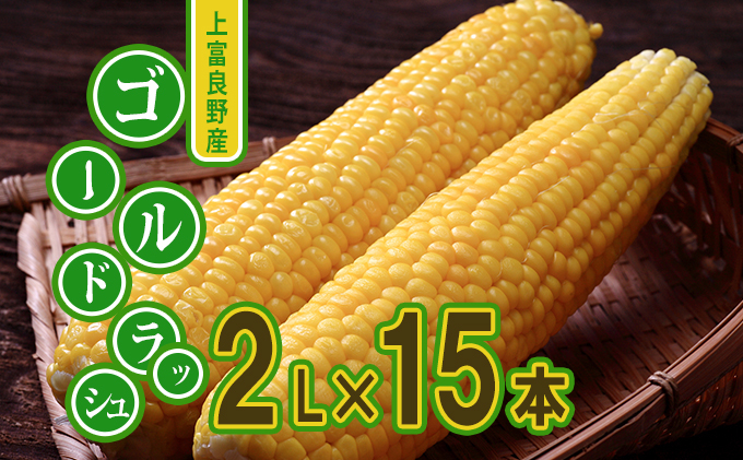 
地元上富良野産 とうもろこし ゴールドラッシュ 15本セット

