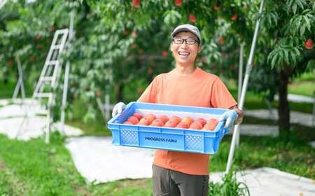 早生ワッサー 約2.8kg 9～13玉 ［おぶせファーマーズ］果物 フルーツ クール便 冷蔵便 長野県産 信州産  令和8年産【2026年7月下旬～8月中旬発送】［F-38］