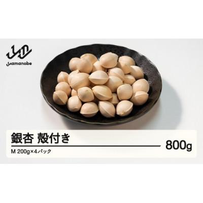 ふるさと納税 山辺町 【先行受付】殻付き銀杏 (ぎんなん)【M】 約800g(200g×4パック)