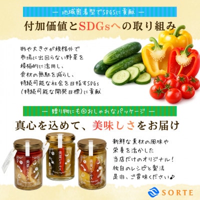 ご飯のお供や箸休めに!利尻昆布の極上ダシと赤穂の塩が野菜の旨みを引き出す、美菜ピクルス(和風)3本