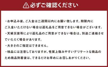 九重産 3L以上 梨 約5kg （二十世紀、あきづきのうちいずれか一種）【2025年9月発送予定】