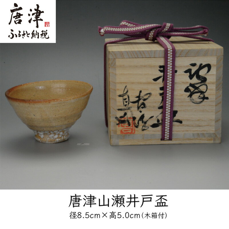 【ふるさと納税】唐津焼 唐津山瀬 井戸盃 ＃irodoriからつ四季の返礼品