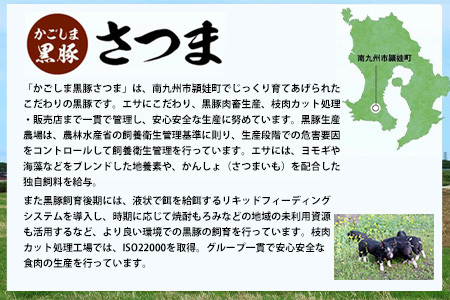 「かごしま黒豚さつま」餃子64個セット【配送不可地域：離島】【1185771】