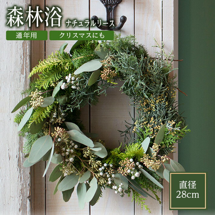 【ふるさと納税】ナチュラルリース「森林浴」 植物