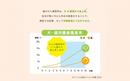 【ふるなび限定】愛猫のがんのリスク早期発見サービス　線虫 N-NOSE ねこちゃん エヌノーズ 【 FN-Limited-SP 】