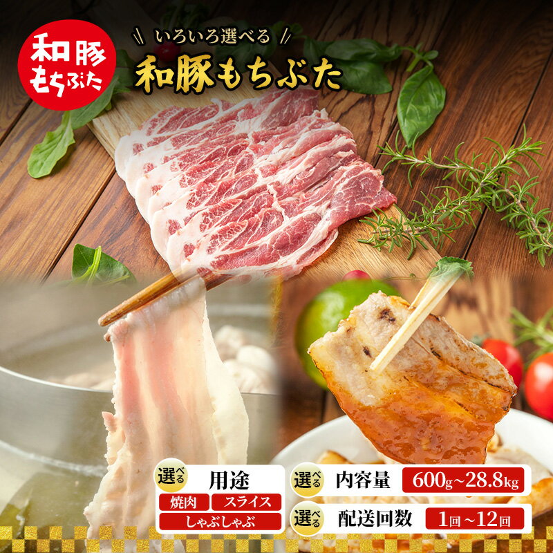 【ふるさと納税】もち豚 用途,配送回数,内容量選べる 1回～12回配送 600g～28.8kg しゃぶしゃぶ 焼肉 スライス 豚バラ 肩ロース モモ