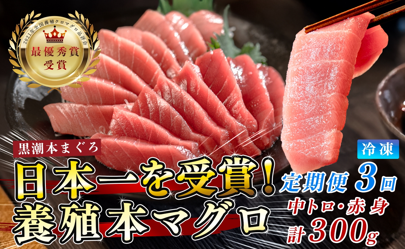 
                  訳あり 不定貫 定期便 3回 国産 養殖本マグロ 中トロ・赤身 2種 毎回計300g×3回 黒潮本まぐろ 全国養殖クロマグロ品評会 最優秀賞受賞 3ヶ月 3か月 柵 刺身用 本マグロ クロマグロ 本鮪 まぐろ 鮪 お刺身 さしみ 中トロ トロ 赤身 海鮮丼 漬け丼 手巻き寿司 鉄火丼 まぐろ丼 小分け 個包装 真空パック 冷凍 不揃い 家庭用 海鮮 年末年始 高知県 大月町 4万円
                
