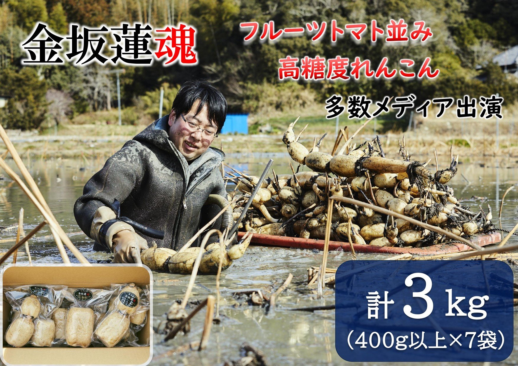 
                  【10月上旬～順次発送】千葉県産 れんこん真空パック×７袋(計3kg)自然栽培【金坂蓮魂】  CNX004
                