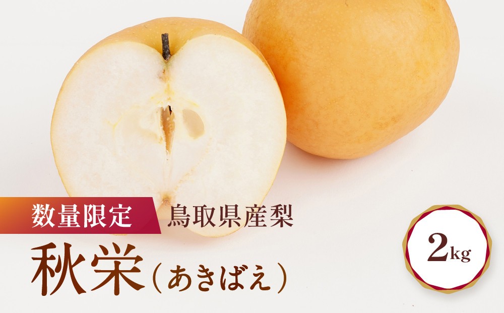 
                  【先行予約】数量限定 鳥取県産梨 秋栄 約2kg 梨 秋栄 梨2kg 秋栄2kg 鳥取県産梨 国産梨 梨先行予約 先行予約梨 新鮮 旬 フルーツ 果物 くだもの 人気 おすすめ 鳥取県 鳥取 琴浦町
                
