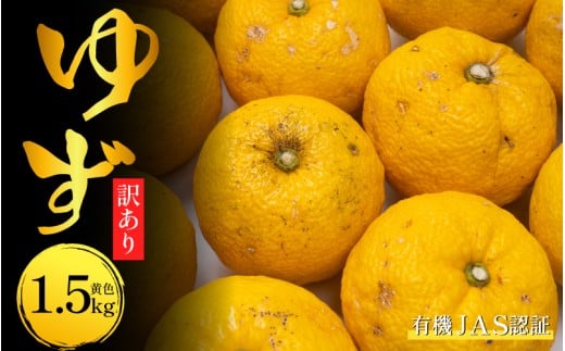 訳あり ゆず 有機ゆず 黄色ゆず 良品 1.5kg オーガニック 柚子 有機JAS 黄色柚子 健康 美容 柑橘 みかん フルーツ 果物 薬味 ジャム マーマレード 鍋 そうめん 柚子胡椒 果実酒 シロップ 徳島県 三好市