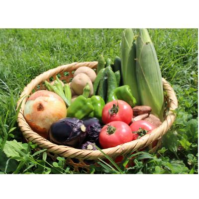 ふるさと納税 三春町 【旬の野菜】三春町産野菜の詰め合わせ