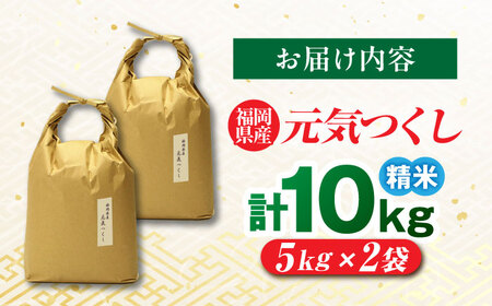 福岡県産 元気つくし 白米 10kg (5kg×2袋) 吉富町/株式会社ベネフィス[BGAF019]