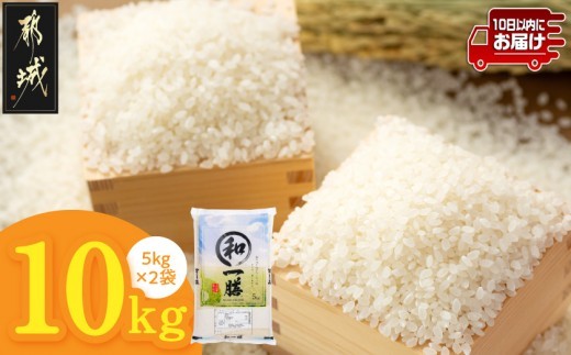 
                  都城産と国産のブレンド米 10kg≪みやこんじょ特急便≫_19-15-014-10kg-Q_(都城市) お米 国産ブレンド米 5kg×2袋 精米
                