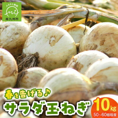 【ふるさと納税】春を告げるサラダ玉ねぎ10kg【1726408】