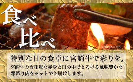 宮崎牛赤身＆霜降り【とろ旨カルビセット】550g_MJ-6519_(都城市) 牛肉 牛もも焼肉用(300g×1パック) 牛肩ロース焼肉用(250g×1パック) 合計550グラム 赤身肉 霜降り肉 ギフ