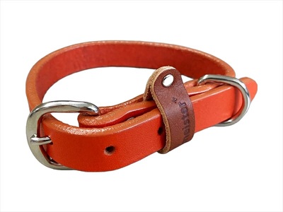 【 ペット 用 】 首輪 小型犬 オレンジ 21-27cm ペット