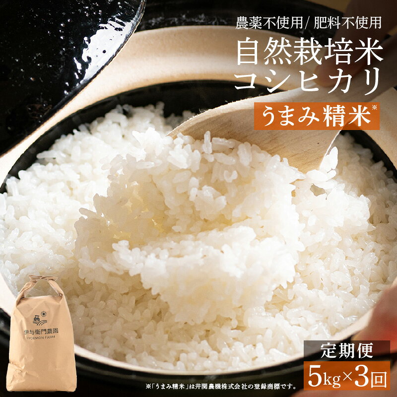 【ふるさと納税】【先行予約】【令和8年産】【定期便3回】伊与衛門農園の自然栽培コシヒカリ うまみ精米 5kg×3回 ＜温度と湿度を常時管理し新鮮米を出荷！＞/ 米 白米 高品質 鮮度抜群 ブランド米 福井県 あわら市産 ※2026年10月下旬以降順次発送