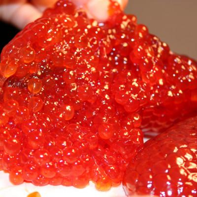 ふるさと納税 稚内市 【ごはんのお共に】北海道 秋鮭 筋子 - 甘塩 - 450g 稚内市 国産 |  | 01