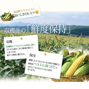 【2024年8月下旬～発送】北海道 富良野産 生で食べられる とうもろこし【恵味（めぐみ）】 2Lサイズ 5本 (スイートベジタブルファクトリー) とうもろこし とうきび コーン 野菜 新鮮 甘い ジ