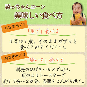【 先行予約 】 とうもろこし みらい 12～18本 スイートコーン 朝どれ 糖度20度 味来 甘い 《 2024年6月～順次発送 》 コーン サラダ 徳島県 阿波市 【 野菜 とうきび 旬 新鮮 ギ