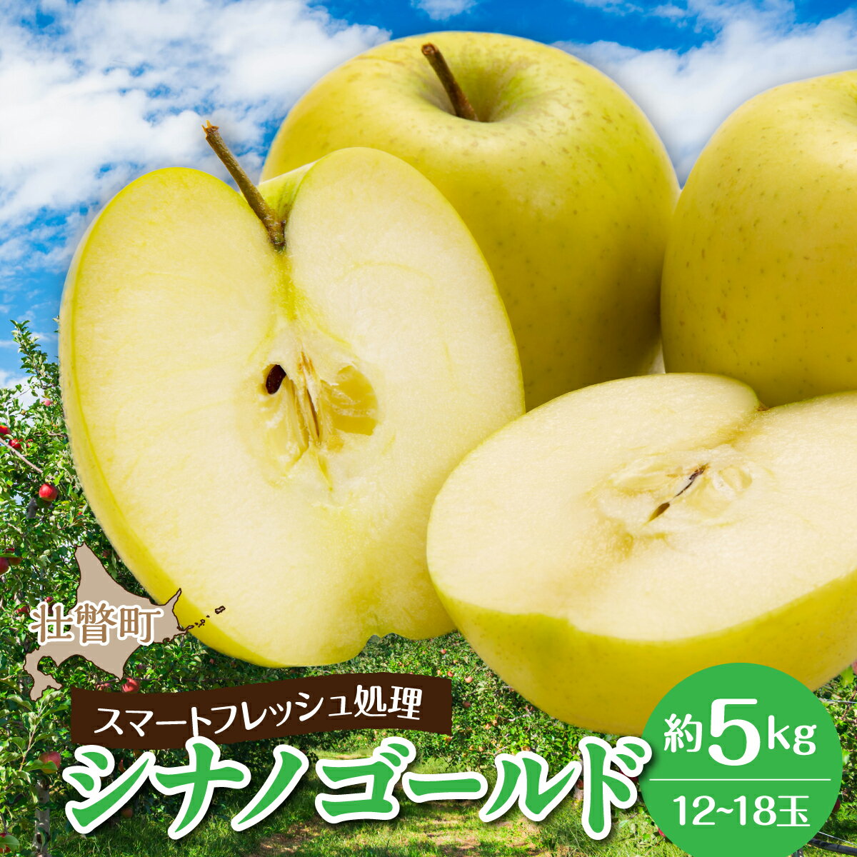 【ふるさと納税】北海道壮瞥町　りんご(スマートフレッシュ)　品種名「シナノゴールド」12～18玉 約5kg　【 ふるさと納税 人気 おすすめ ランキング りんご リンゴ 林檎 シナノゴールド 甘い ジューシー 北海道 壮瞥町 送料無料 】SBTF029