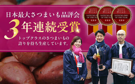 おはようのスープ10袋（芋ポタージュ） 五島市/ごと[PBY013]  さつまいも レトルト 野菜スープ 五島市