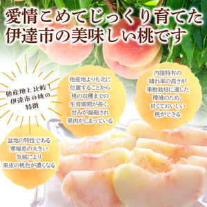 福島の桃 玉うさぎ ３kg（7～12玉） 伊達市産桃 先行予約 フルーツ 果物 もも モモ momo F20C-835