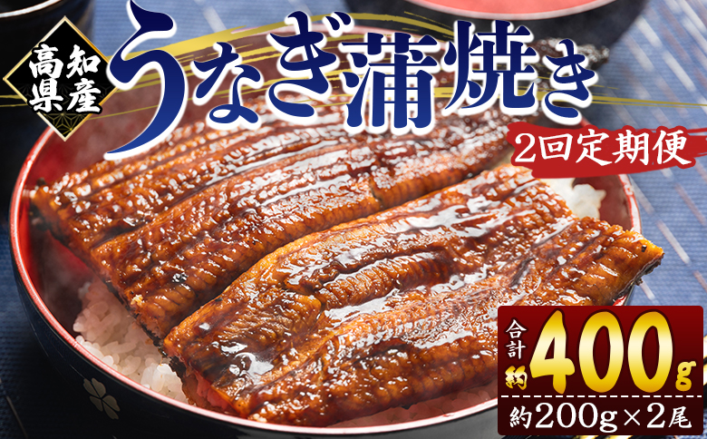 定期便 うなぎ 蒲焼き 約200g 2尾 2回 高知県産 養殖 魚介 国産 海鮮 魚 かばやき 鰻 ウナギ 惣菜 おかず お手軽 加工品 加工食品 冷凍 Wfb-0049