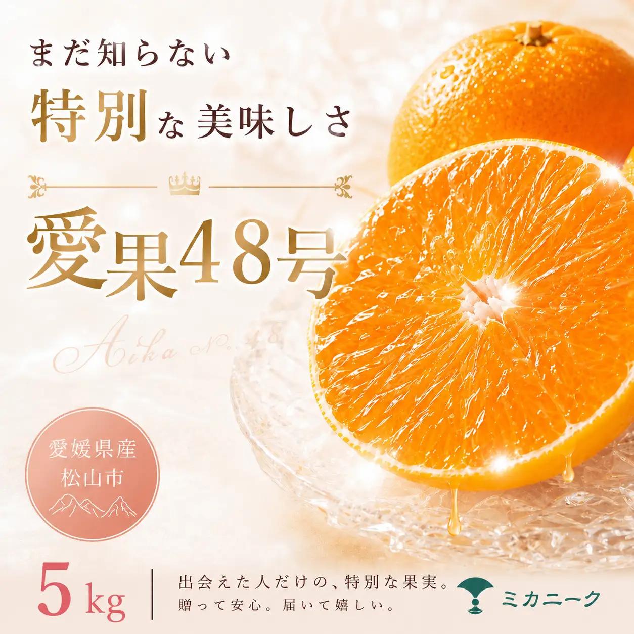 【2027年2月下旬頃から順次発送】あいか48号 家庭用 5kg | みかん 愛果48号 あいか 蜜柑 アイカ 柑橘 果物 愛媛のみかん くだもの 贈答 フルーツ ご家庭用 数量限定 愛媛県産 ミカン 愛媛県 松山市 【MKN0071】