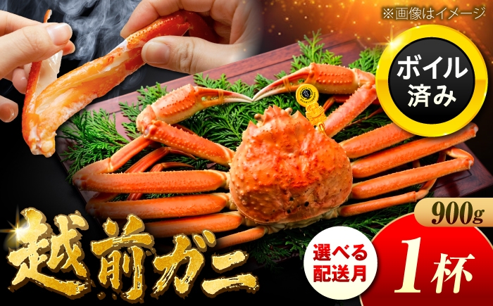 
                  【先行予約/11月7日より順次発送】【希望月指定可】 越前がに 900ｇ×1杯 / 蟹 ズワイガニ ずわいがに ボイル 冷蔵 小浜市 / まるほ商店 【配送不可地域：北海道・沖縄・離島】[BFCS027]
                