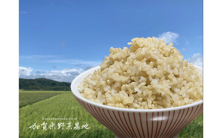 《令和7年産 新米》【お米番付優秀賞受賞農家】日本一粒の大きいお米『いのちの壱』玄米15kg