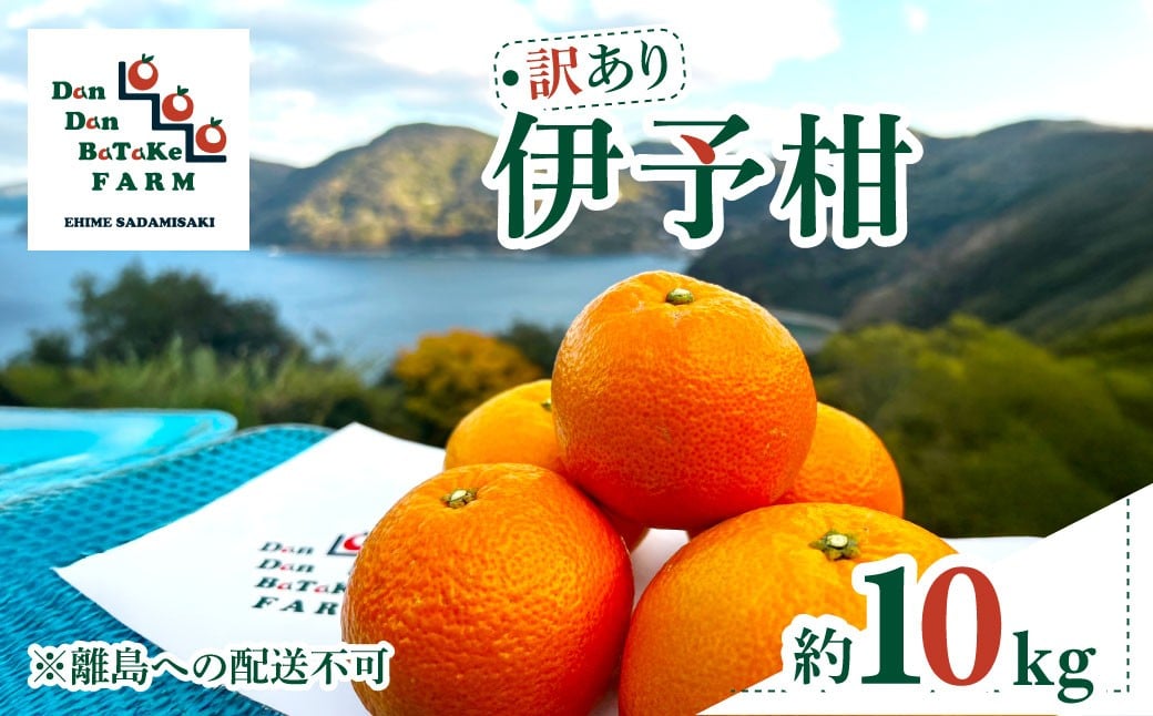 
            【先行予約】【訳あり】伊予柑 約10kg | 柑橘 みかん 果物 フルーツ 愛媛県産 農家直送　※離島への配送不可　※2026年1月中旬から順次発送予定 【 ふるさと納税 人気 おすすめ ランキング 柑橘 みかん ミカン フルーツ 伊予柑 mikan 果物 オレンジ 農家直送 産地直送 DanDan BaTaKe FARM愛媛県産 訳あり 愛媛県 伊方町 送料無料】 IKTAU002
          