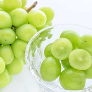 和歌山県産完熟シャインマスカット約1kg【2026年度発送分】(日高町)【配送不可地域：離島・北海道・沖縄県】【1663127】