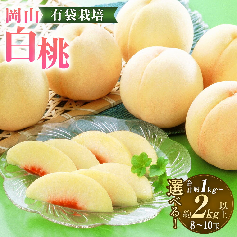 【ふるさと納税】＜選べる内容量＞岡山白桃 4～5玉（合計1.0kg以上）・8～10玉（合計2.0kg以上） 桃 もも モモ くだもの 果物 果実 フルーツ 有袋栽培 化粧箱 ギフト 贈答 冷蔵 岡山県産 国産 岡山県 奈義町 送料無料 【2026年7月上旬～8月上旬 発送予定】