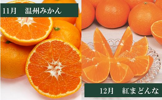 えひめかんきつ定期便（全６回）柑橘 紅まどんな 日の丸みかん 伊予柑 デコポン せとか 河内晩柑  | F01
