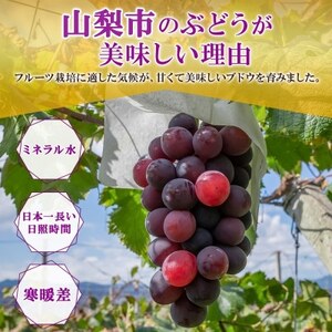山梨県山梨市産の巨峰 2房 約1kg【配送不可地域：離島・沖縄県】【1513024】