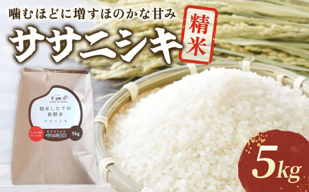 【 令和7年産 新米 】10月下旬発送開始予定 『 ササニシキ 』 5kg 【農薬節約栽培】 北上産 せいぶ農産 米 岩手県 北上市 D0552 西部開発農産 国産 お米 こめ ご飯 ささにしき 精米 新米