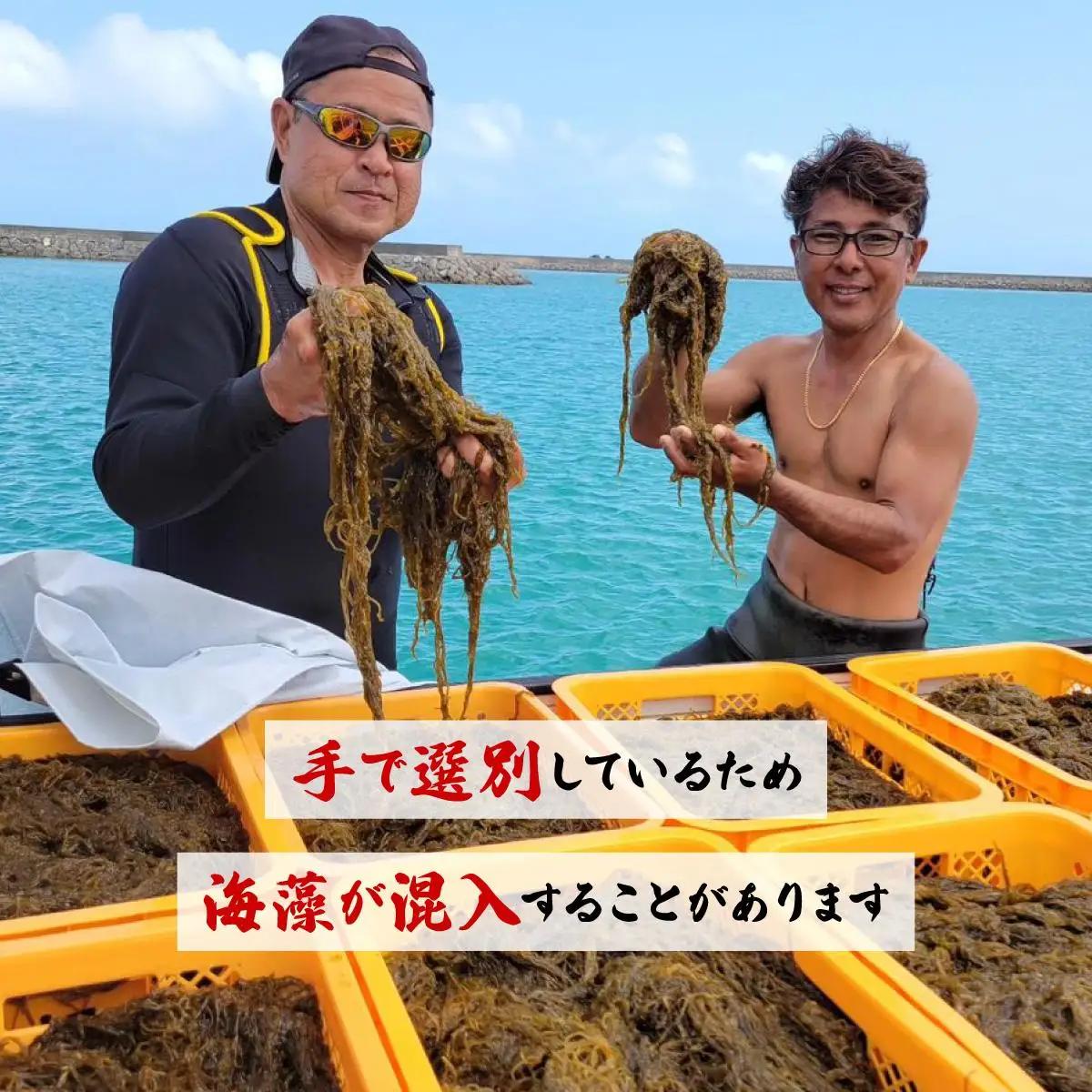 もずく（味付け）6パック