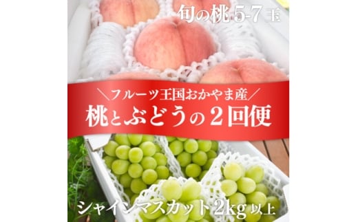 ＜発送月固定定期便＞＜2026年先行予約＞人気果物2種類が届く 桃とシャインの満足便(岡山産)全2回【4071128】