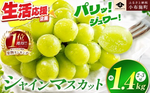 先行受付 シャインマスカット 約1.4kg 2～3房 ［小布施屋］ フルーツ 果物 くだもの ぶどう 葡萄 ブドウ 数量限定 クール便配送 長野県産 産地直送 先行予約 送料無料 2026年発送 令和8年産 【2026年10月上旬～11月上旬にかけて順次発送】[A-204]