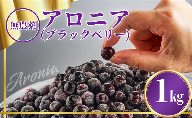 【先行予約】アロニア (ブラックベリー) 1kg 冷凍 フルーツ｜石川県 小松市